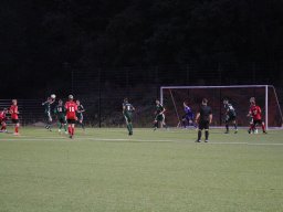 img_3550